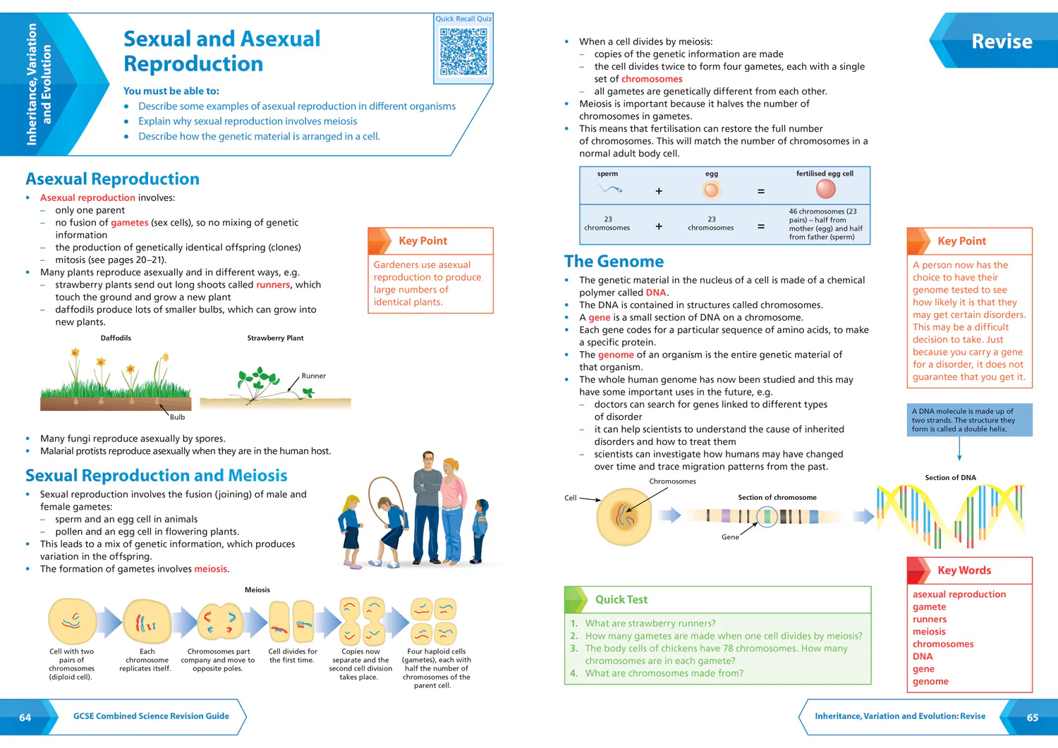 Collins GCSE Grade 9-1 Revision - AQA GCSE 9-1 Combined Science Foundation Complete Revision and Practice: Ideal for the 2026 and 2027 exams includes online edition, quizzes and video solutions - Image 6