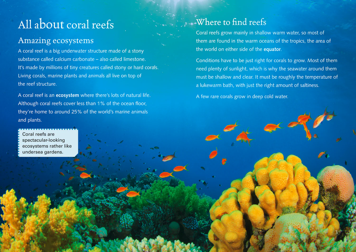 Collins Big Cat - Coral Reefs: Band 18/Pearl - Image 2