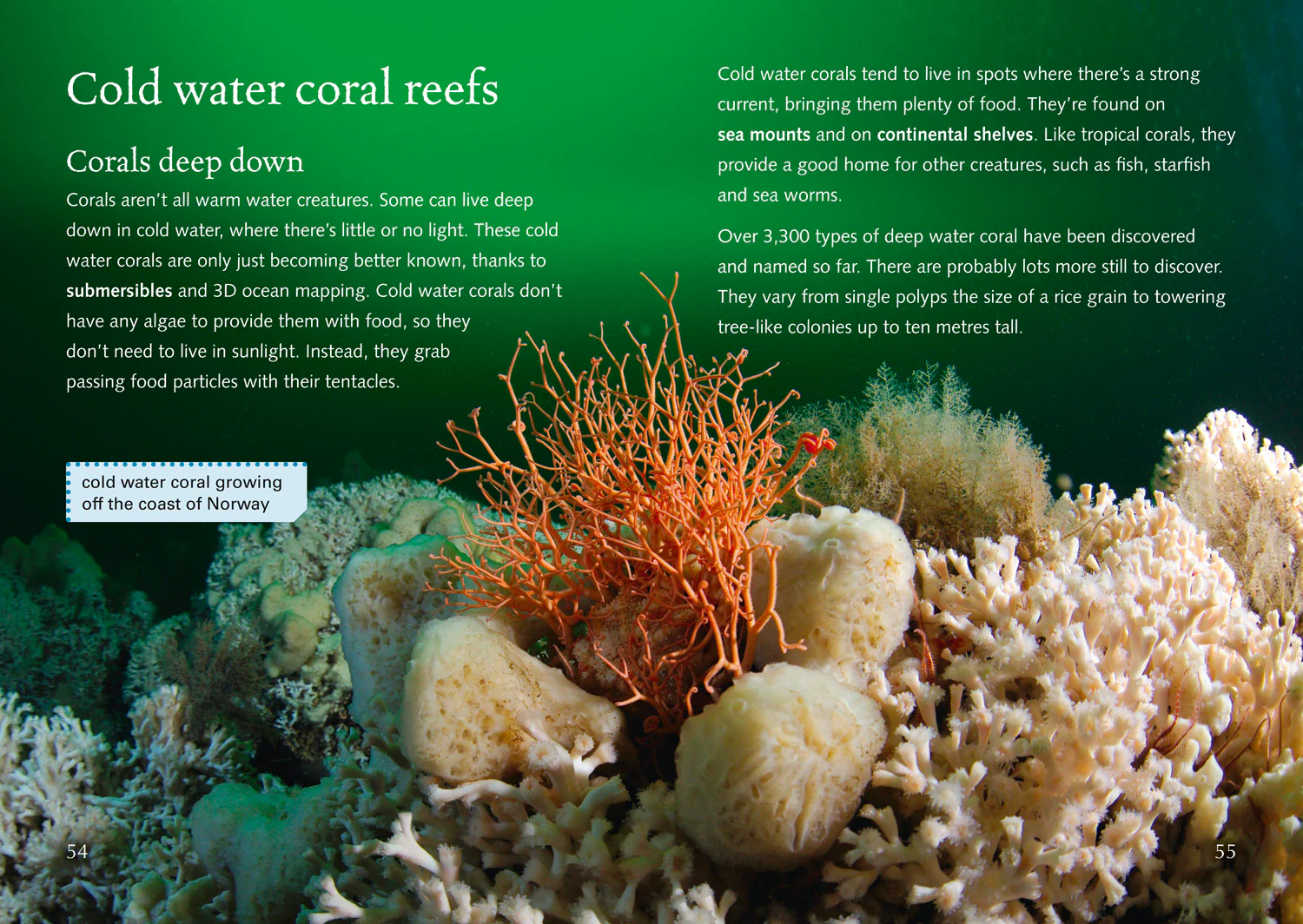 Collins Big Cat - Coral Reefs: Band 18/Pearl - Image 3