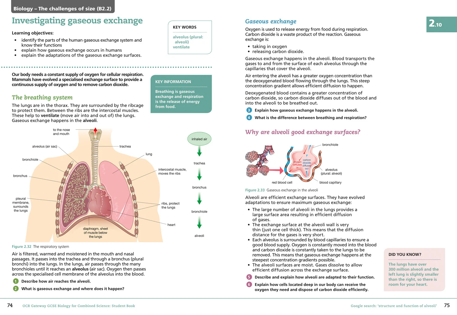 GCSE Science 9-1 - OCR Gateway GCSE Biology for Combined Science 9-1 Student Book - Image 3