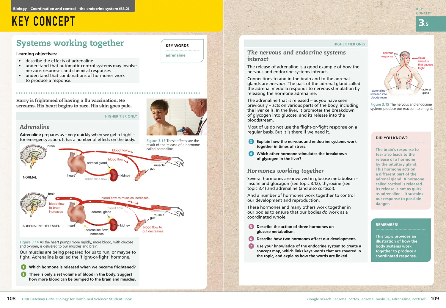 GCSE Science 9-1 - OCR Gateway GCSE Biology for Combined Science 9-1 Student Book - Image 5