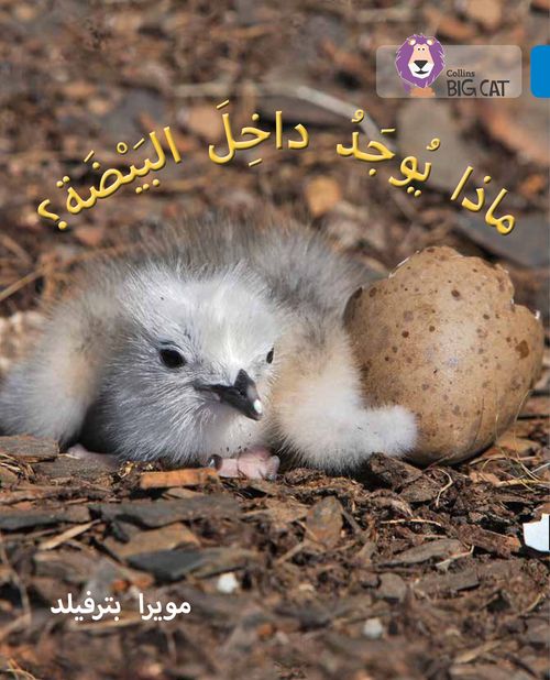 Collins Big Cat Arabic Reading Programme - What's in the Egg?: Level 4 - Image 3