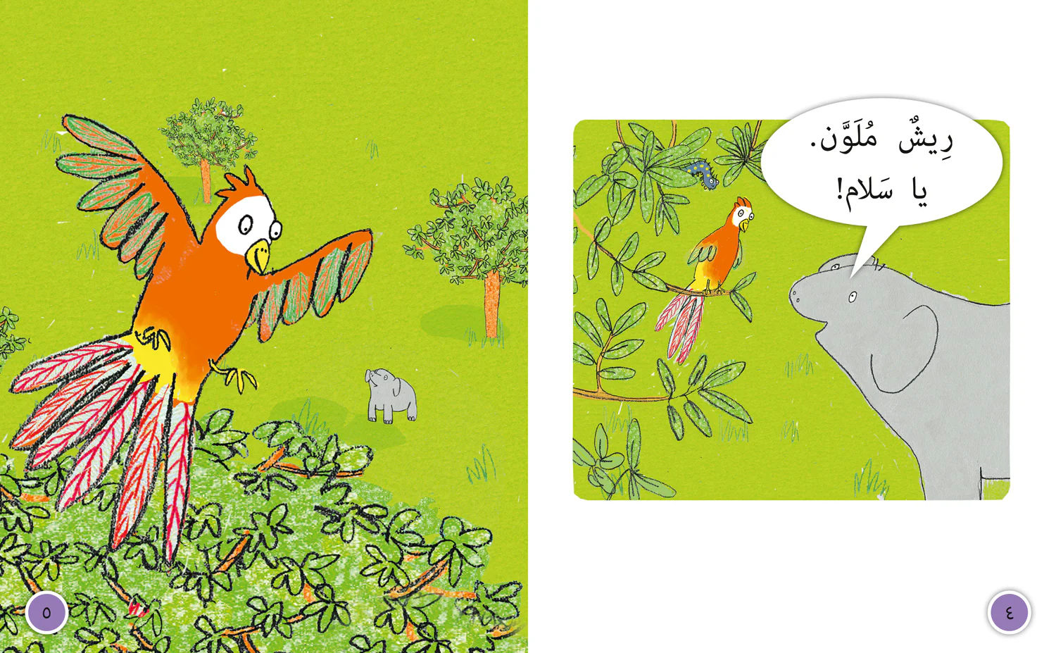 Collins Big Cat Arabic Reading Programme - Trak!: Level 6 - Image 3