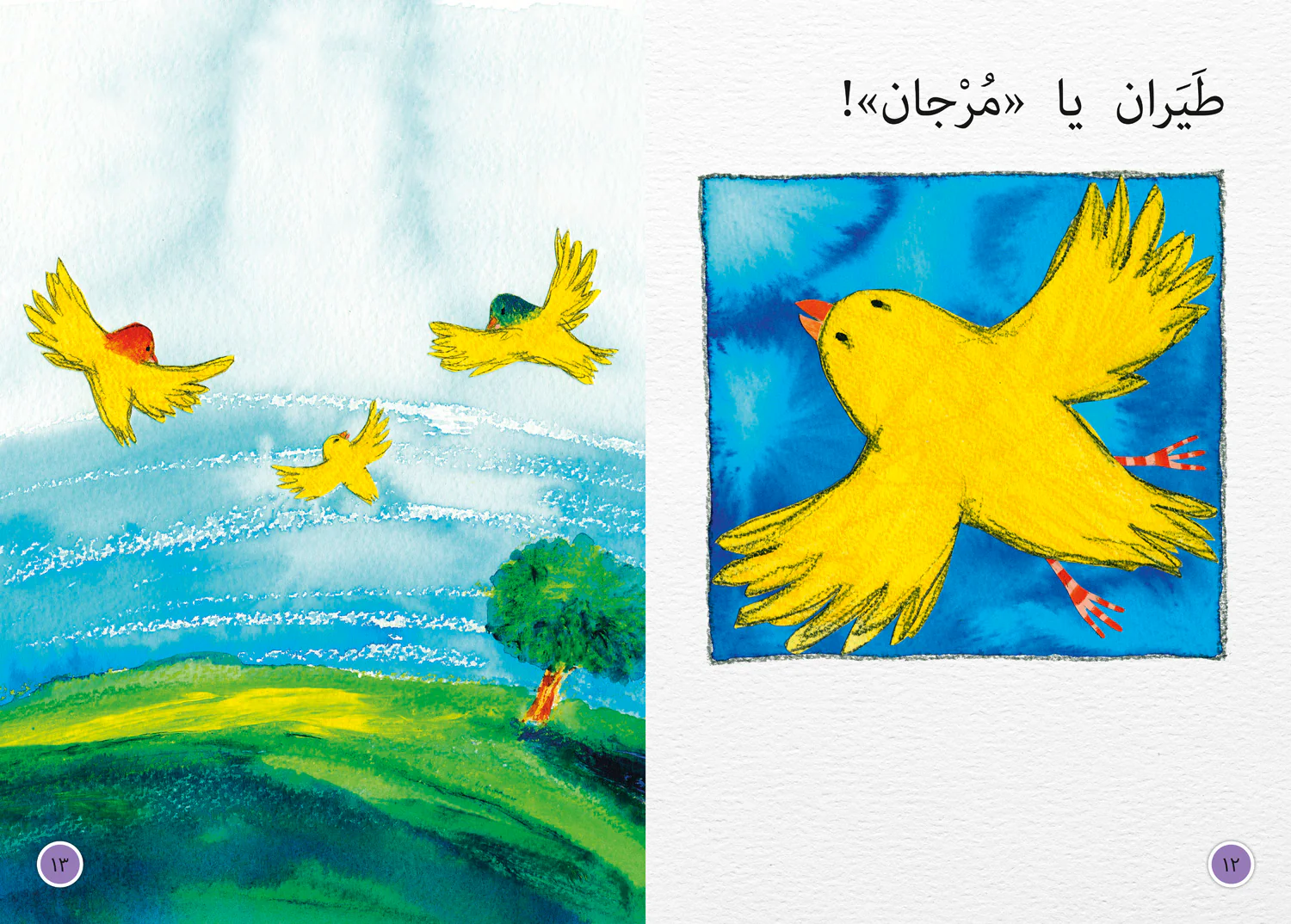 Collins Big Cat Arabic Reading Programme - First Stories Big Book: Level 3 (KG) - Image 3