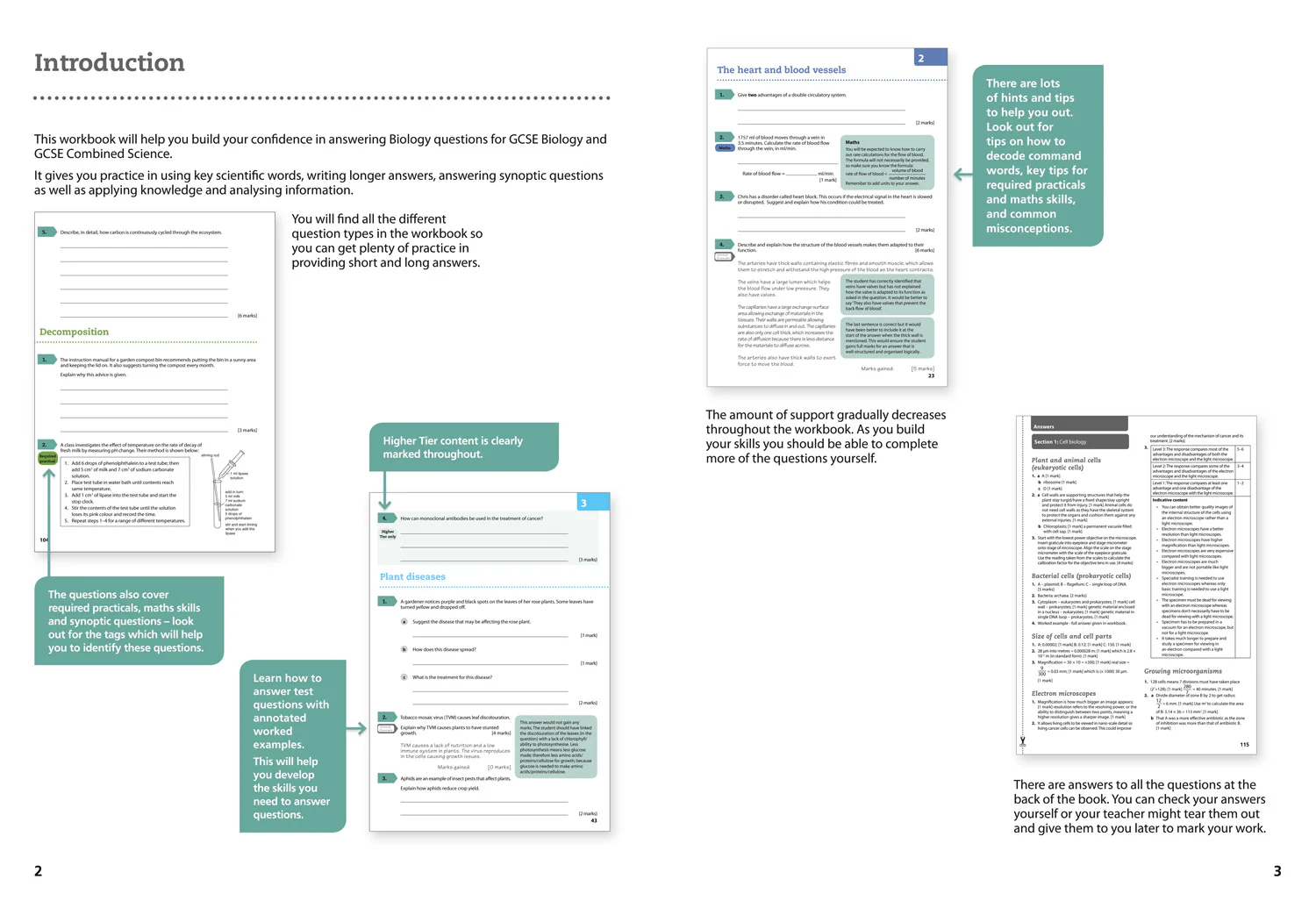 GCSE Science (9–1) - AQA GCSE (9–1) Biology Achieve Grade 8–9 Workbook - Image 3