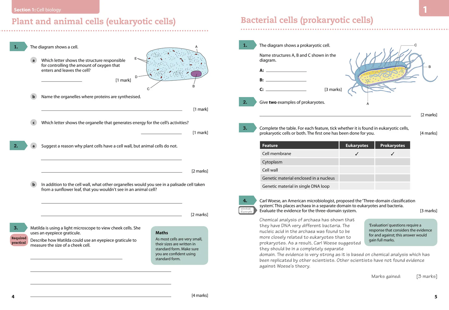 GCSE Science (9–1) - AQA GCSE (9–1) Biology Achieve Grade 8–9 Workbook - Image 4