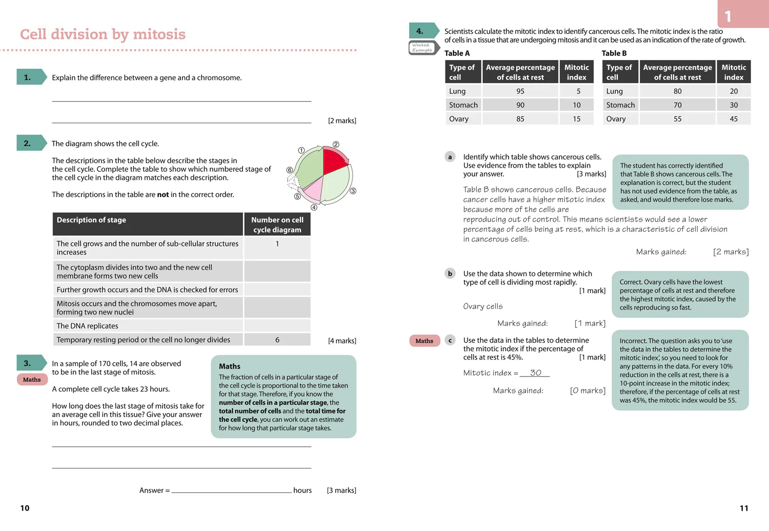 GCSE Science (9–1) - AQA GCSE (9–1) Biology Achieve Grade 8–9 Workbook - Image 5