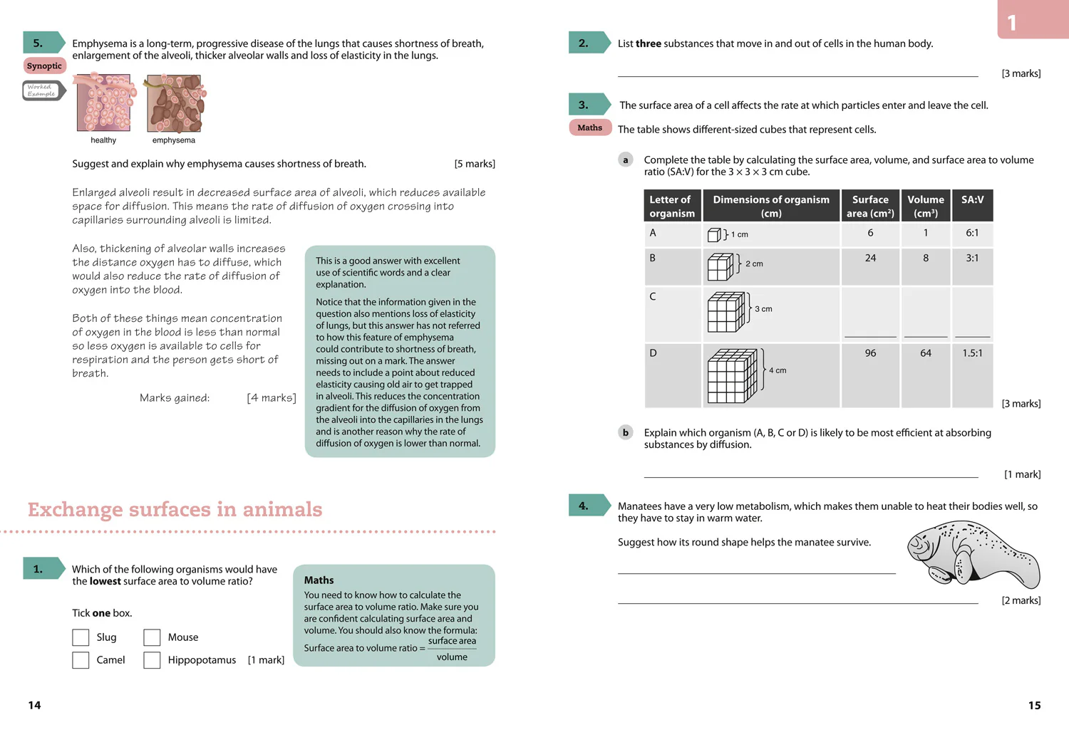 GCSE Science (9–1) - AQA GCSE (9–1) Biology Achieve Grade 8–9 Workbook - Image 6