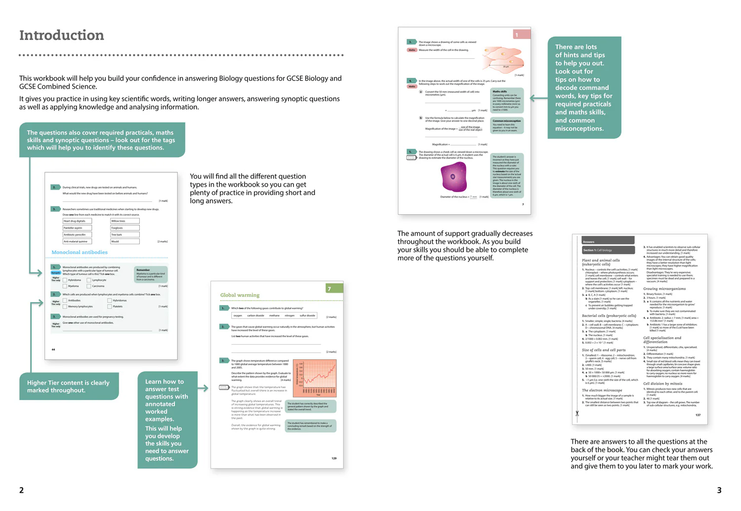 GCSE Science 9-1 - AQA GCSE Biology 9-1 Grade 5 Booster Workbook - Image 3