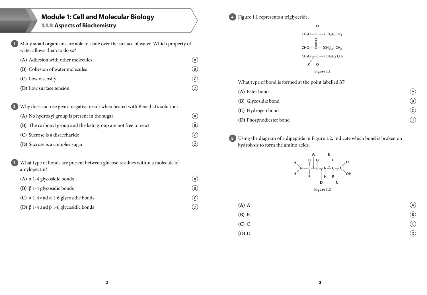 Collins CAPE Biology - CAPE Biology Multiple Choice Practice: (First edition) - Image 5
