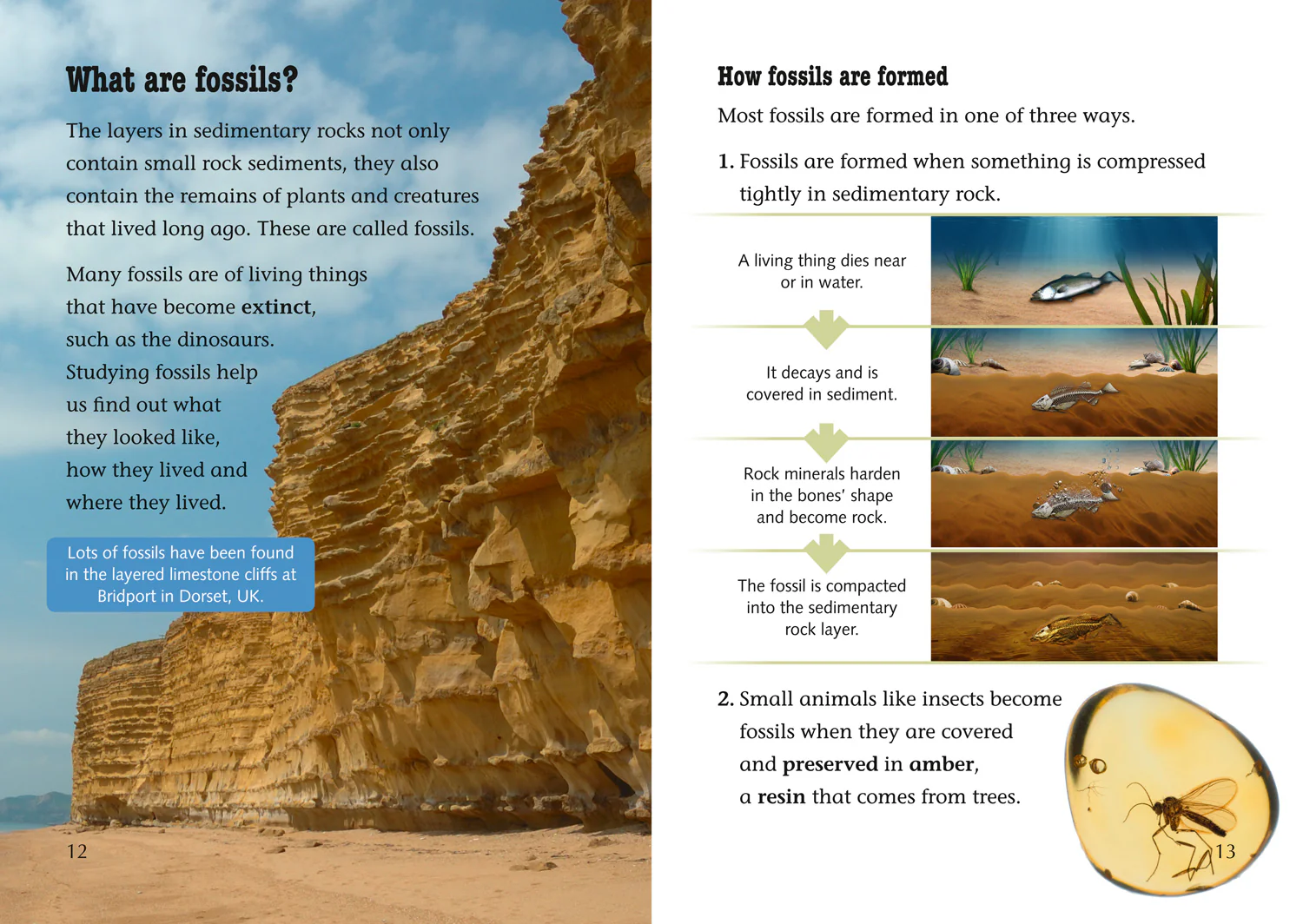 Collins Big Cat - A Finders’ Guide to Rocks, Fossils and Soils: Band 13/Topaz - Image 4