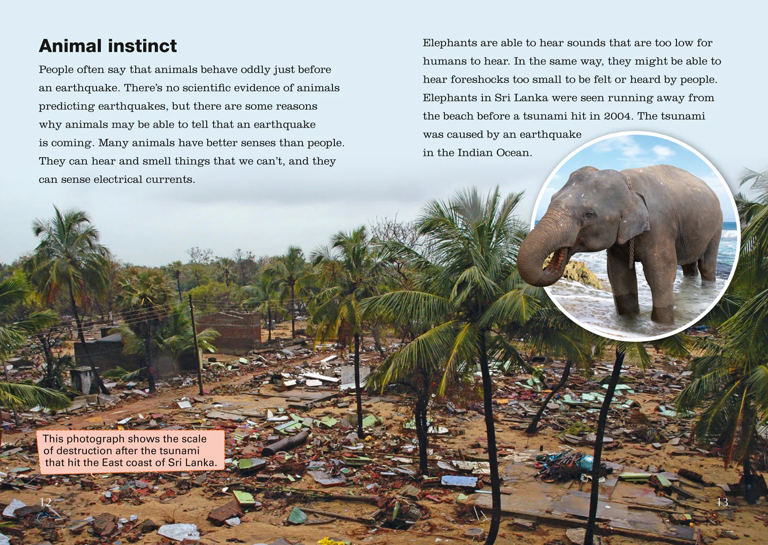 Collins Big Cat - Living in an Earthquake Zone: Band 13/Topaz - Image 4