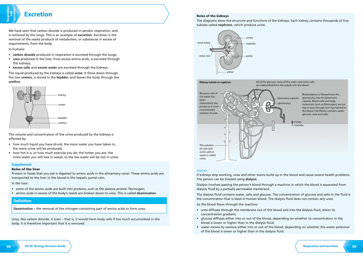 Letts Cambridge IGCSE™ Revision - Cambridge IGCSE™ Biology Revision Guide - Image 7