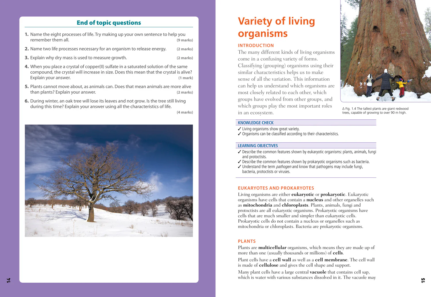 Edexcel International GCSE (9-1) - Edexcel International GCSE (9-1) Biology Student Book - Image 5