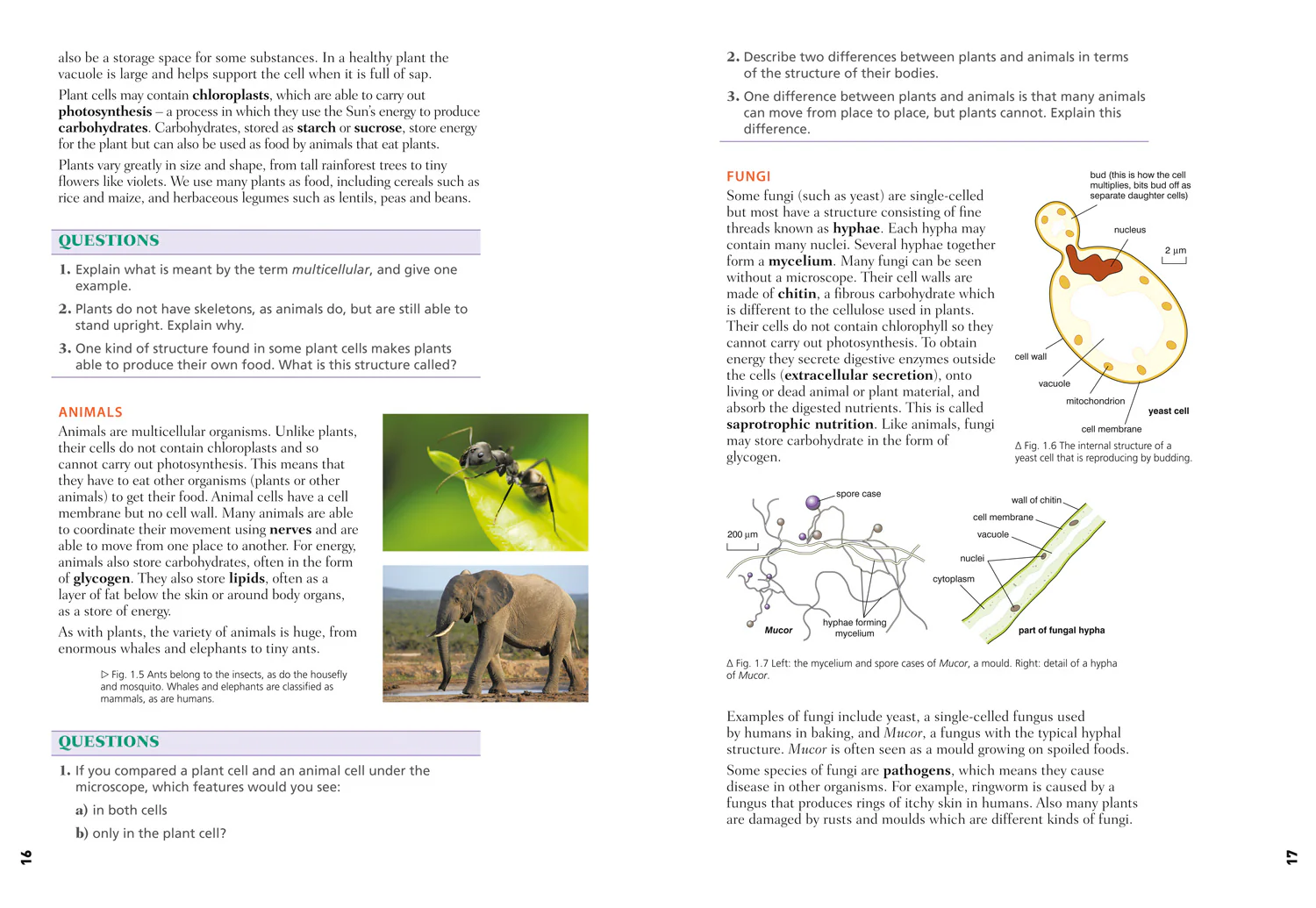 Edexcel International GCSE (9-1) - Edexcel International GCSE (9-1) Biology Student Book - Image 6