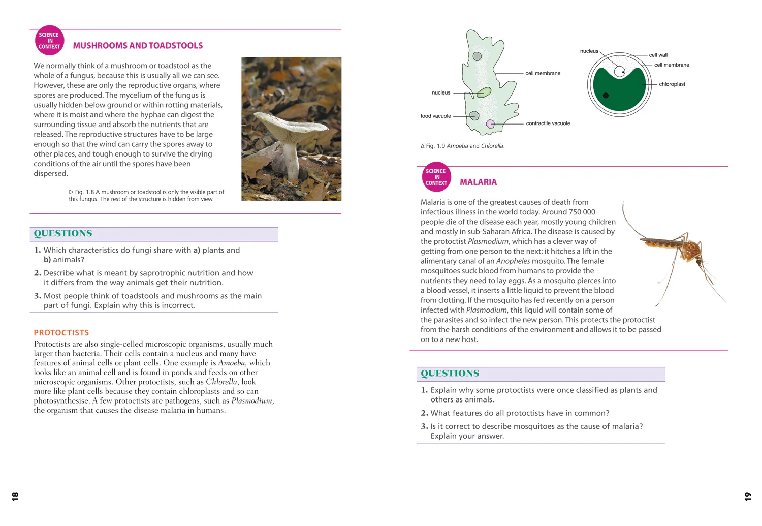 Edexcel International GCSE (9-1) - Edexcel International GCSE (9-1) Biology Student Book - Image 7