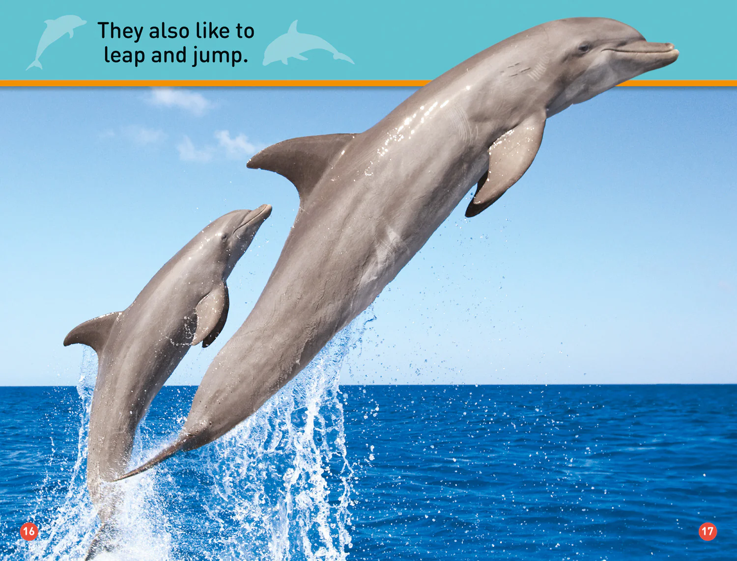 National Geographic Readers - Dive, Dolphin!: Level 1 - Image 3