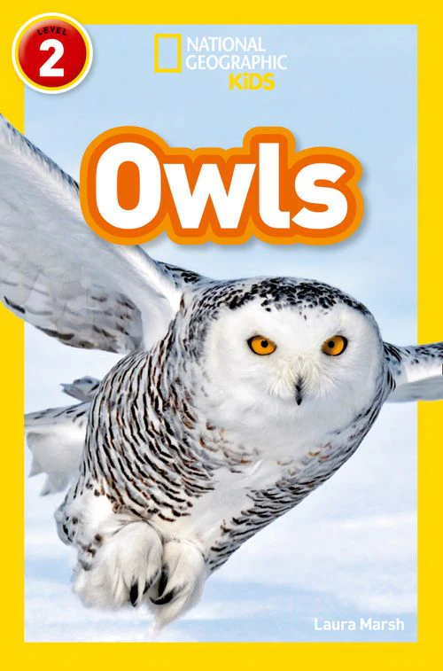 National Geographic Readers - Owls: Level 2