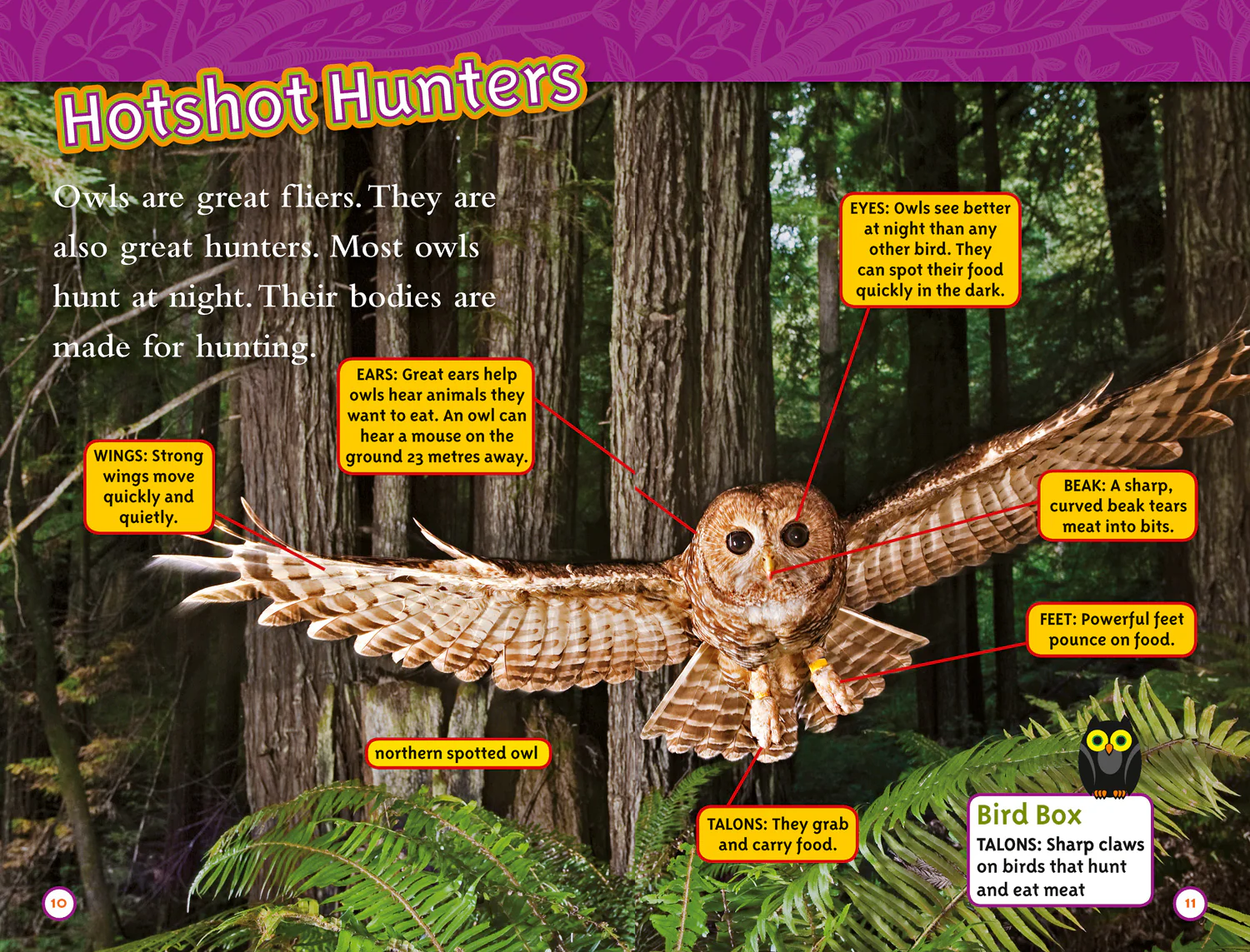 National Geographic Readers - Owls: Level 2 - Image 2