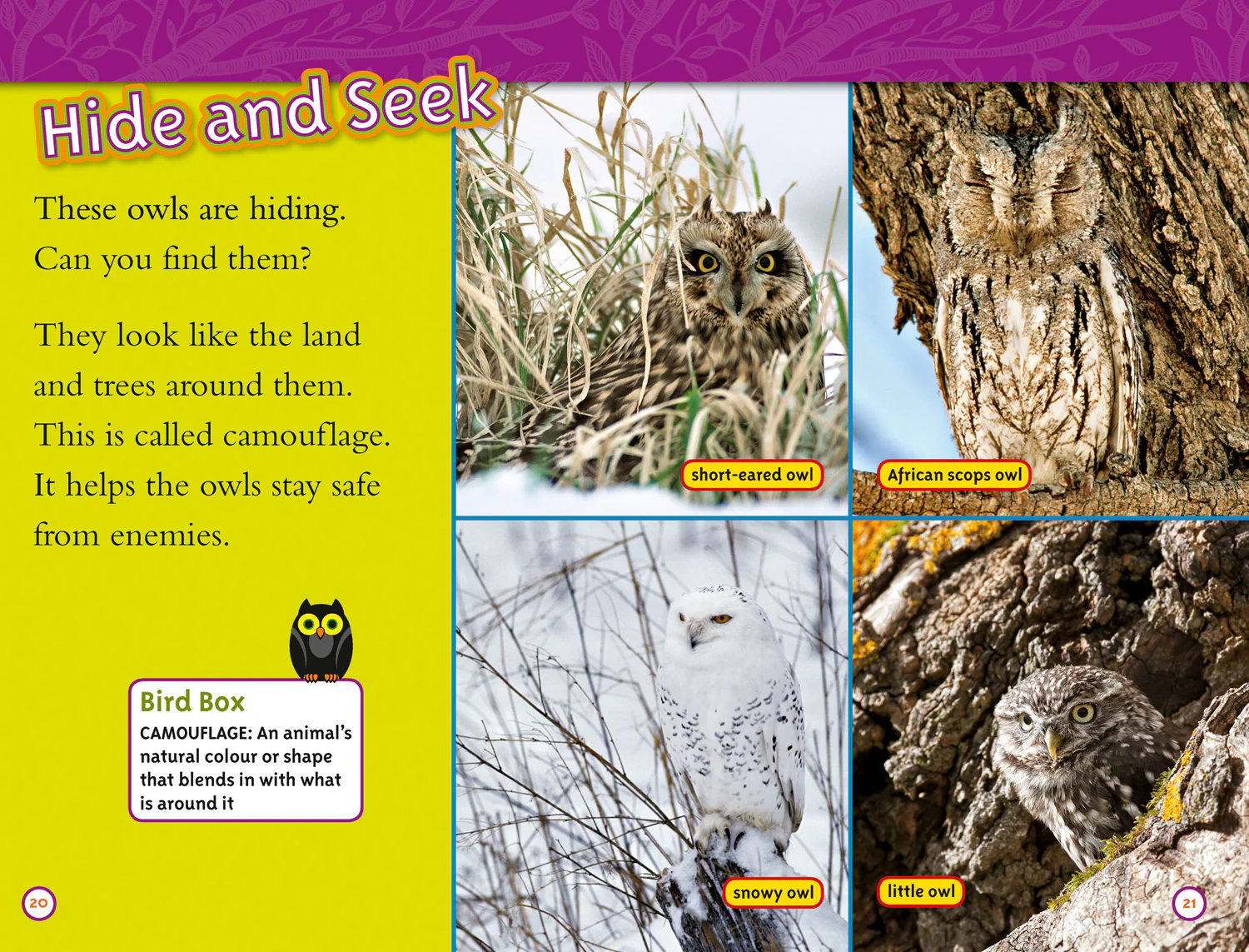 National Geographic Readers - Owls: Level 2 - Image 3