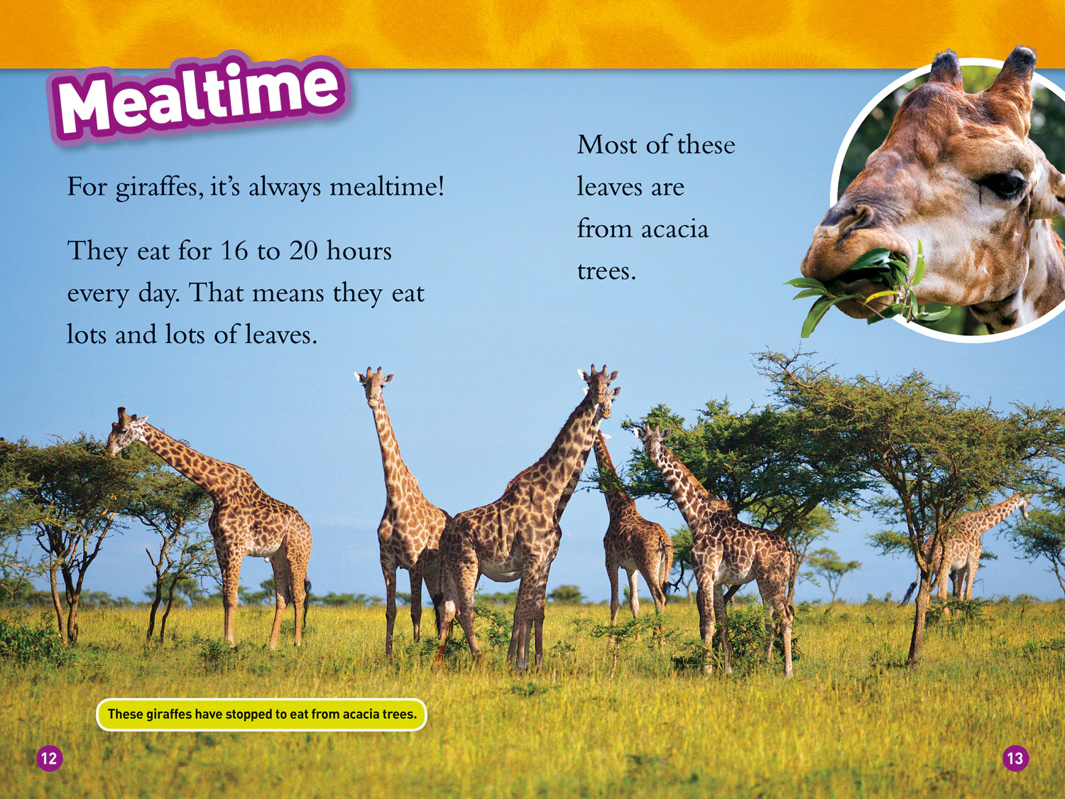 National Geographic Readers - Giraffes: Level 2 - Image 3