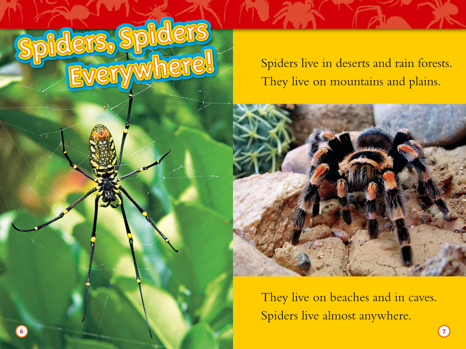 National Geographic Readers - Spiders: Level 2 - Image 2