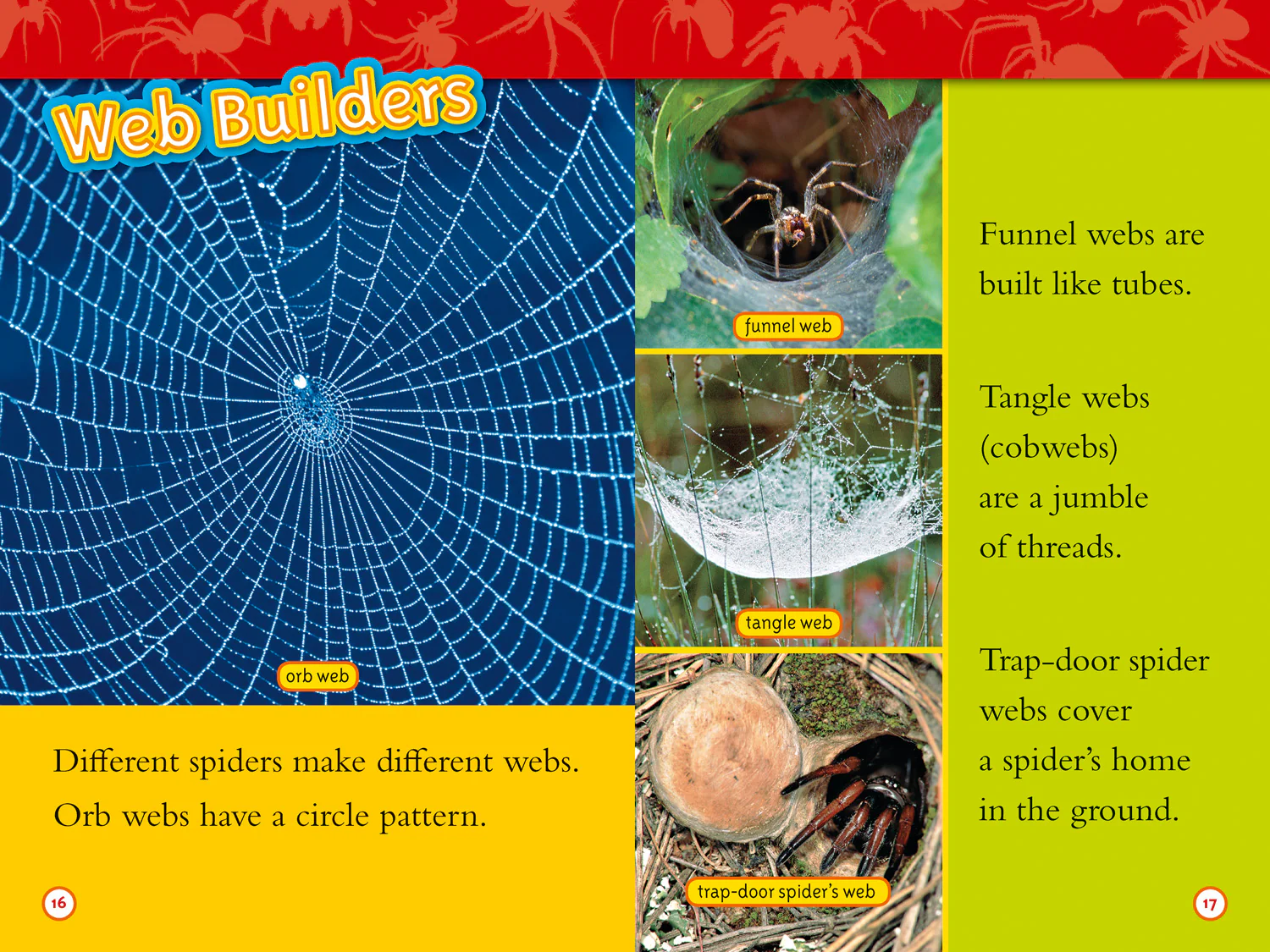 National Geographic Readers - Spiders: Level 2 - Image 3