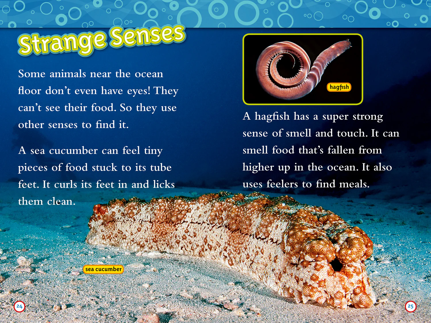 National Geographic Readers - Weird Sea Creatures: Level 3 - Image 3