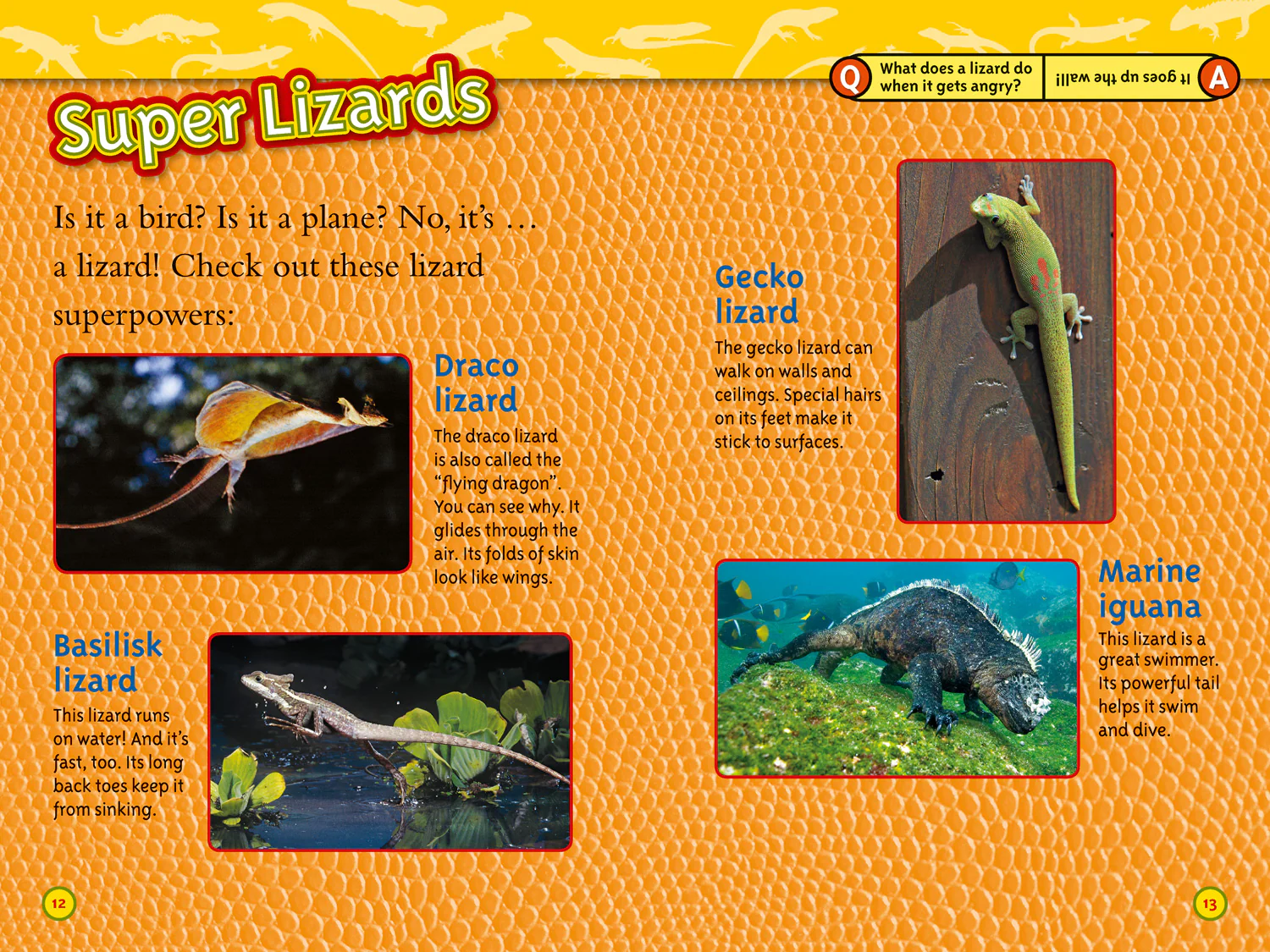National Geographic Readers - Lizards: Level 3 - Image 3