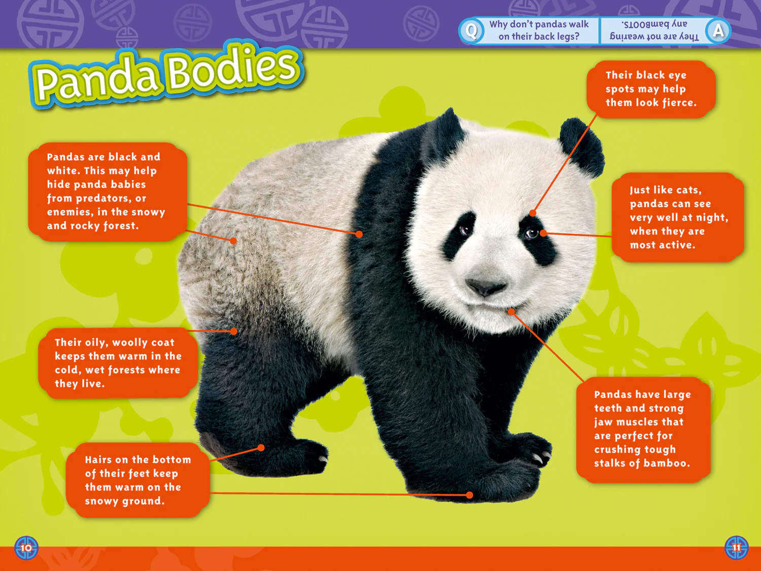 National Geographic Readers - Pandas: Level 3 - Image 2