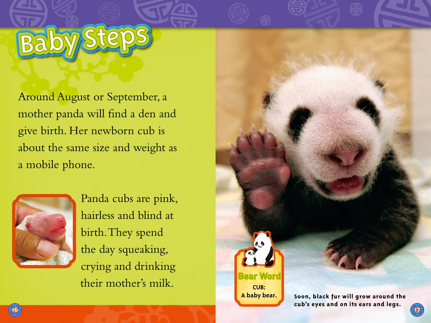 National Geographic Readers - Pandas: Level 3 - Image 3
