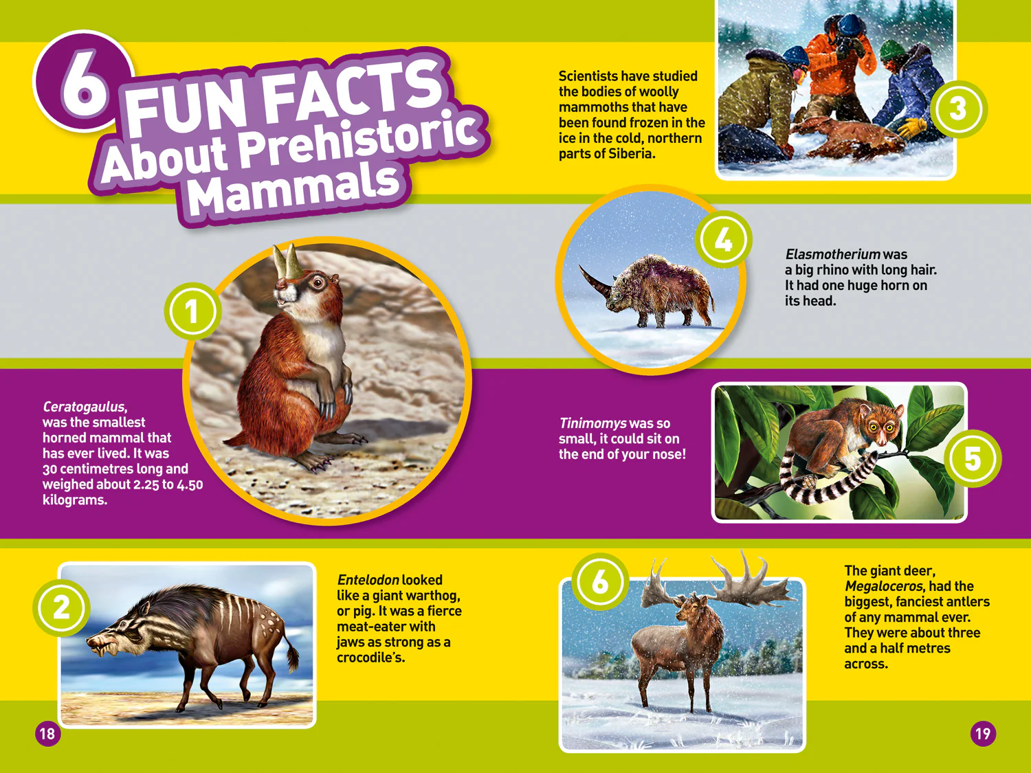 National Geographic Readers - Prehistoric Mammals: Level 3 - Image 3