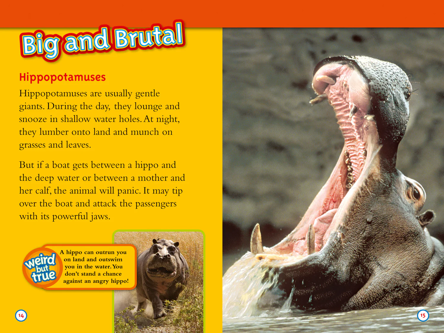 National Geographic Readers - Deadliest Animals: Level 4 - Image 2