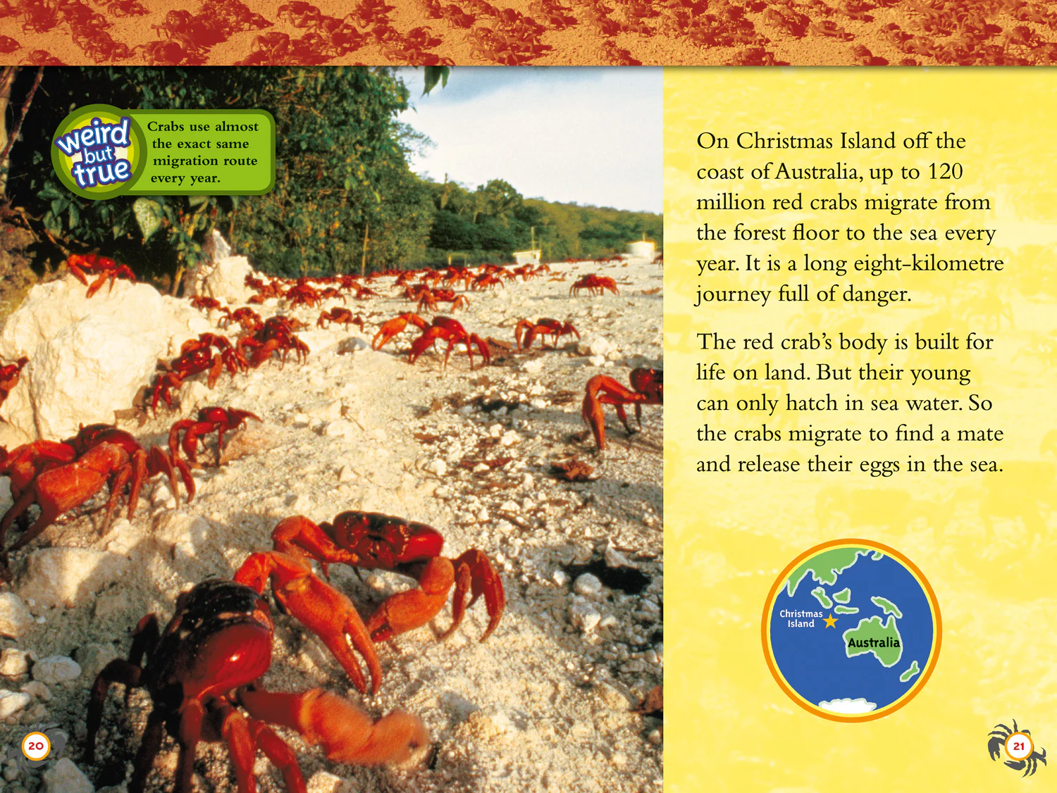 National Geographic Readers - Amazing Animal Journeys: Level 4 - Image 3