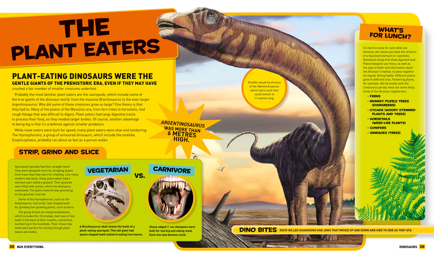 National Geographic Kids - Everything: Dinosaurs - Image 3