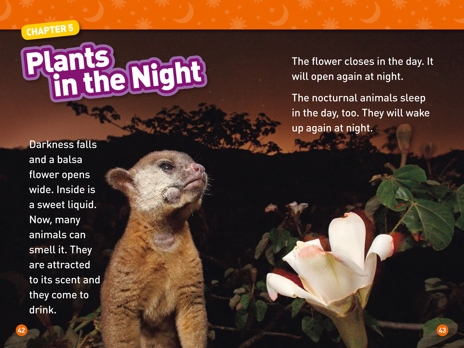 National Geographic Readers - Day and Night: Level 2 - Image 4