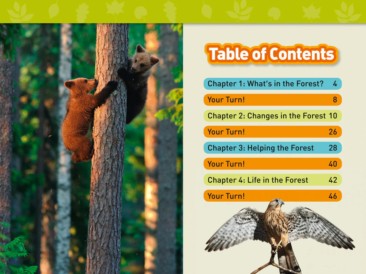 National Geographic Readers - In the Forest: Level 2 - Image 2