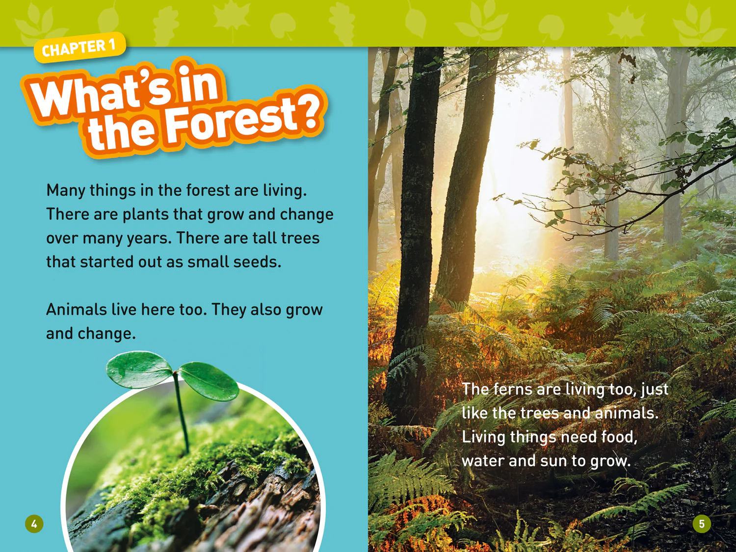 National Geographic Readers - In the Forest: Level 2 - Image 3