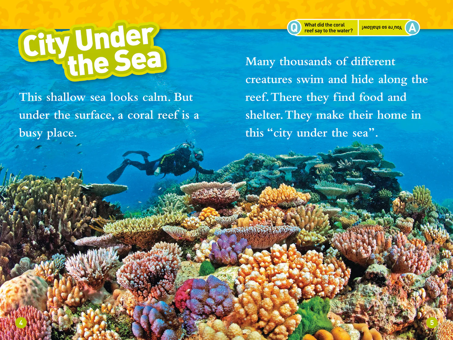 National Geographic Readers - Coral Reefs: Level 3 - Image 3