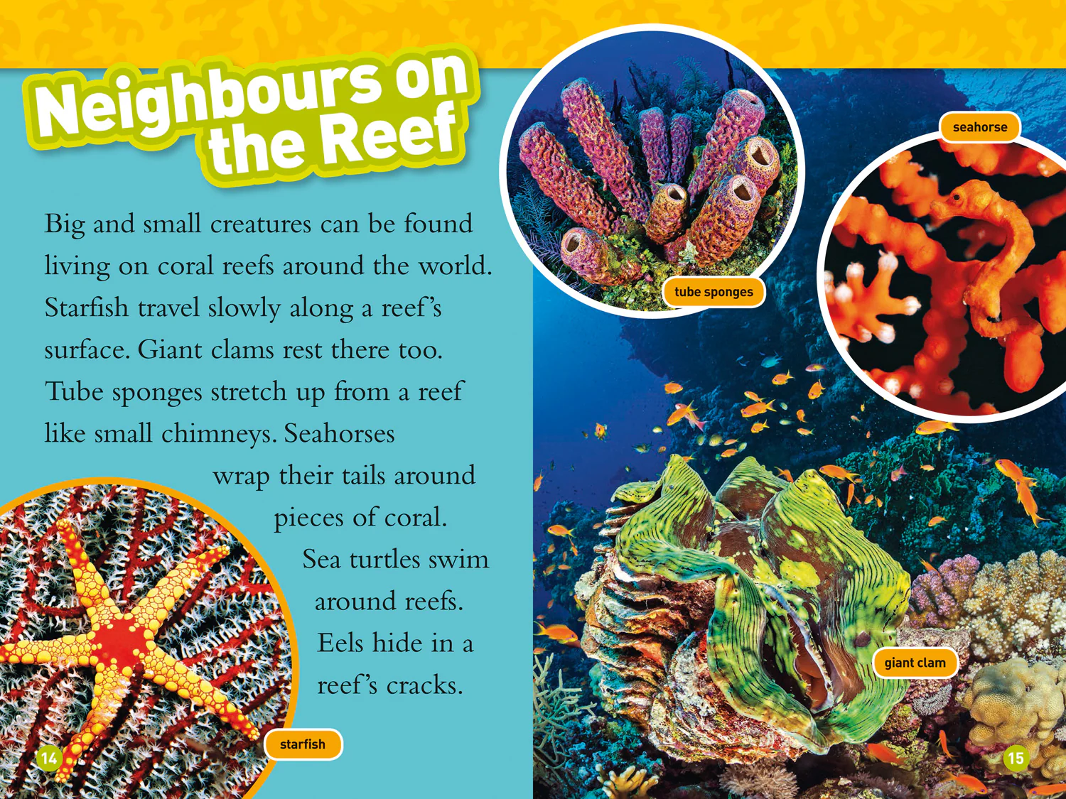 National Geographic Readers - Coral Reefs: Level 3 - Image 4