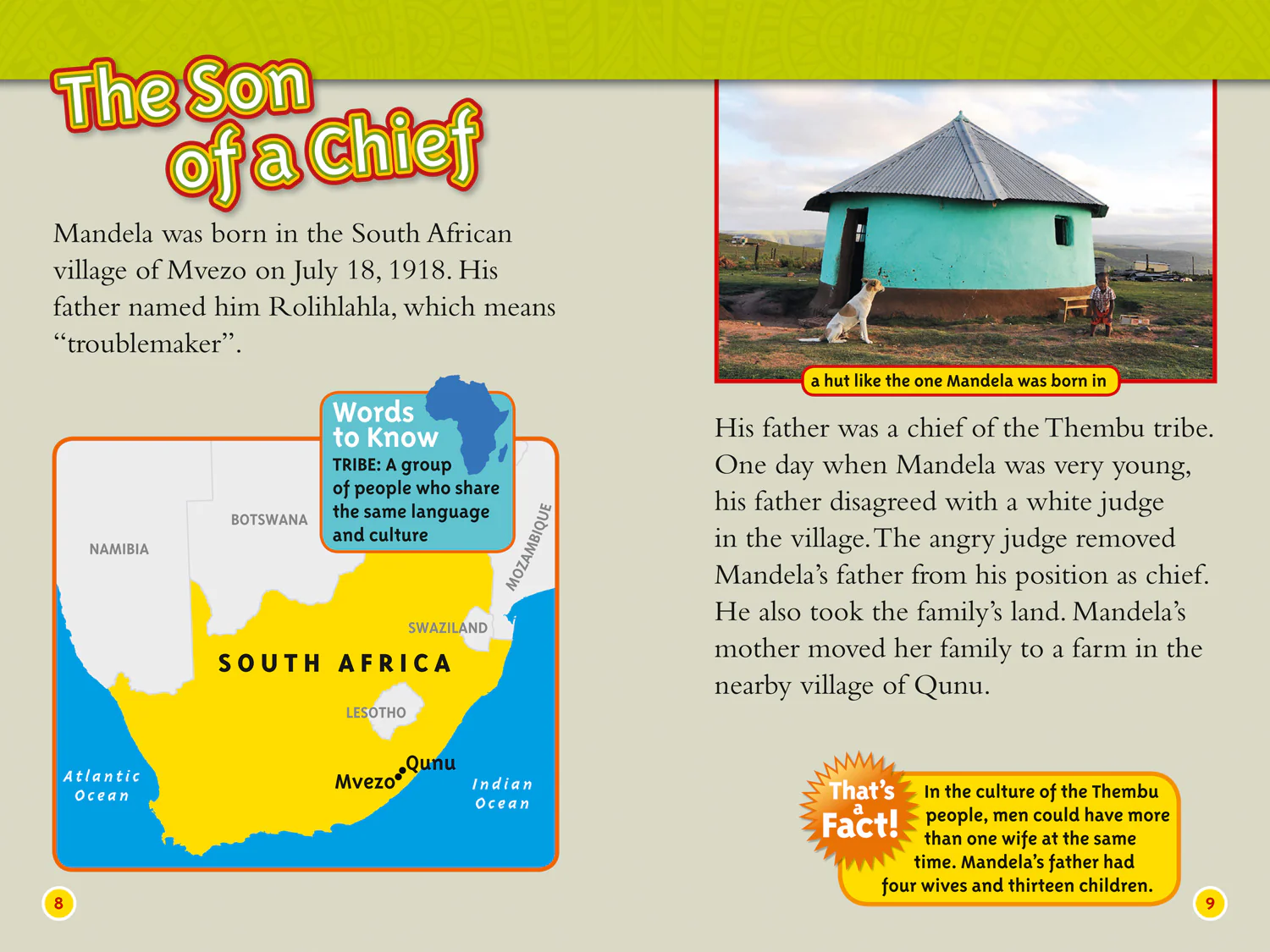 National Geographic Readers - Nelson Mandela: Level 4 - Image 3