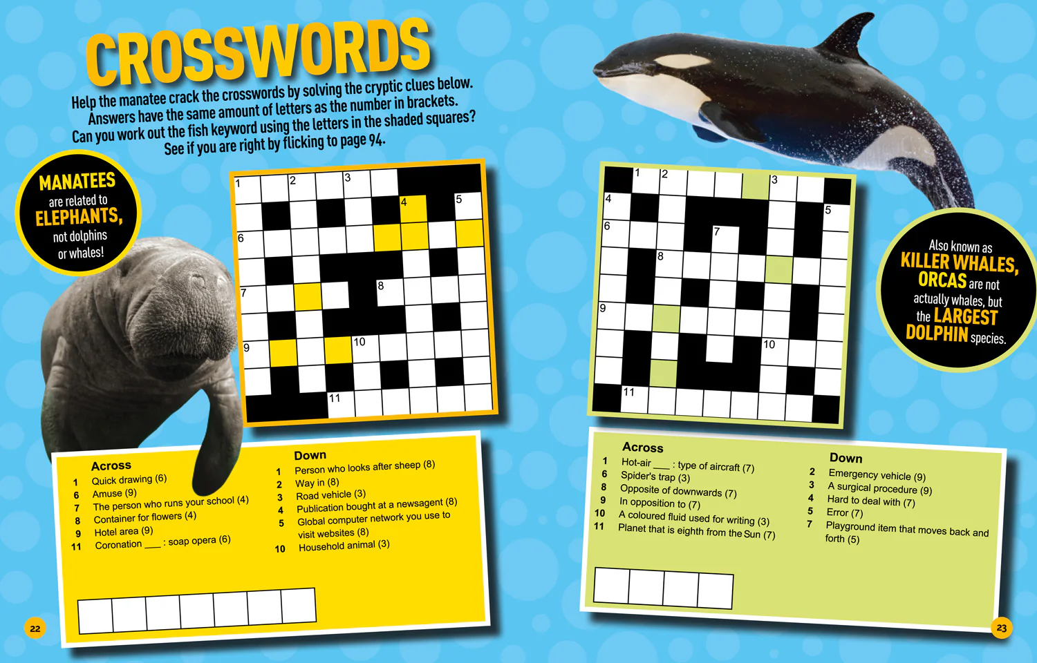 National Geographic Kids - Puzzle Book Under the Sea: Brain-tickling quizzes, sudokus, crosswords and wordsearches - Image 5