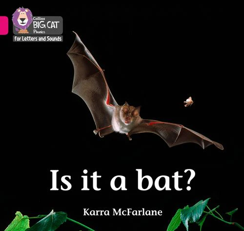 Collins Big Cat Phonics for Letters and Sounds - Is it a Bat?: Band 01B/Pink B
