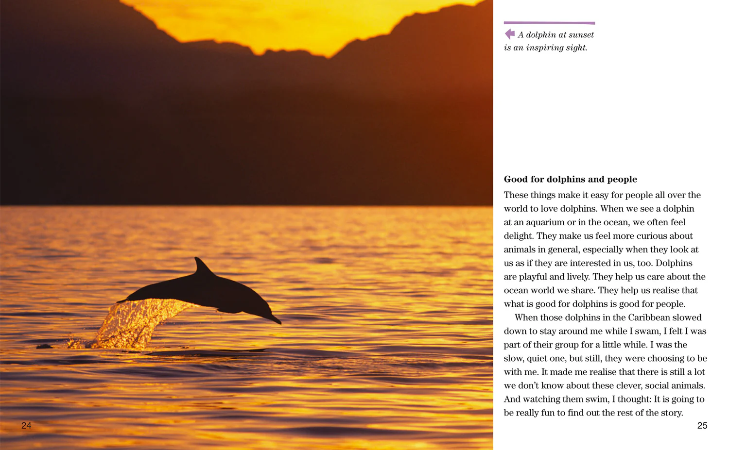 National Geographic Readers - Face to Face with Dolphins: Level 5 - Image 4