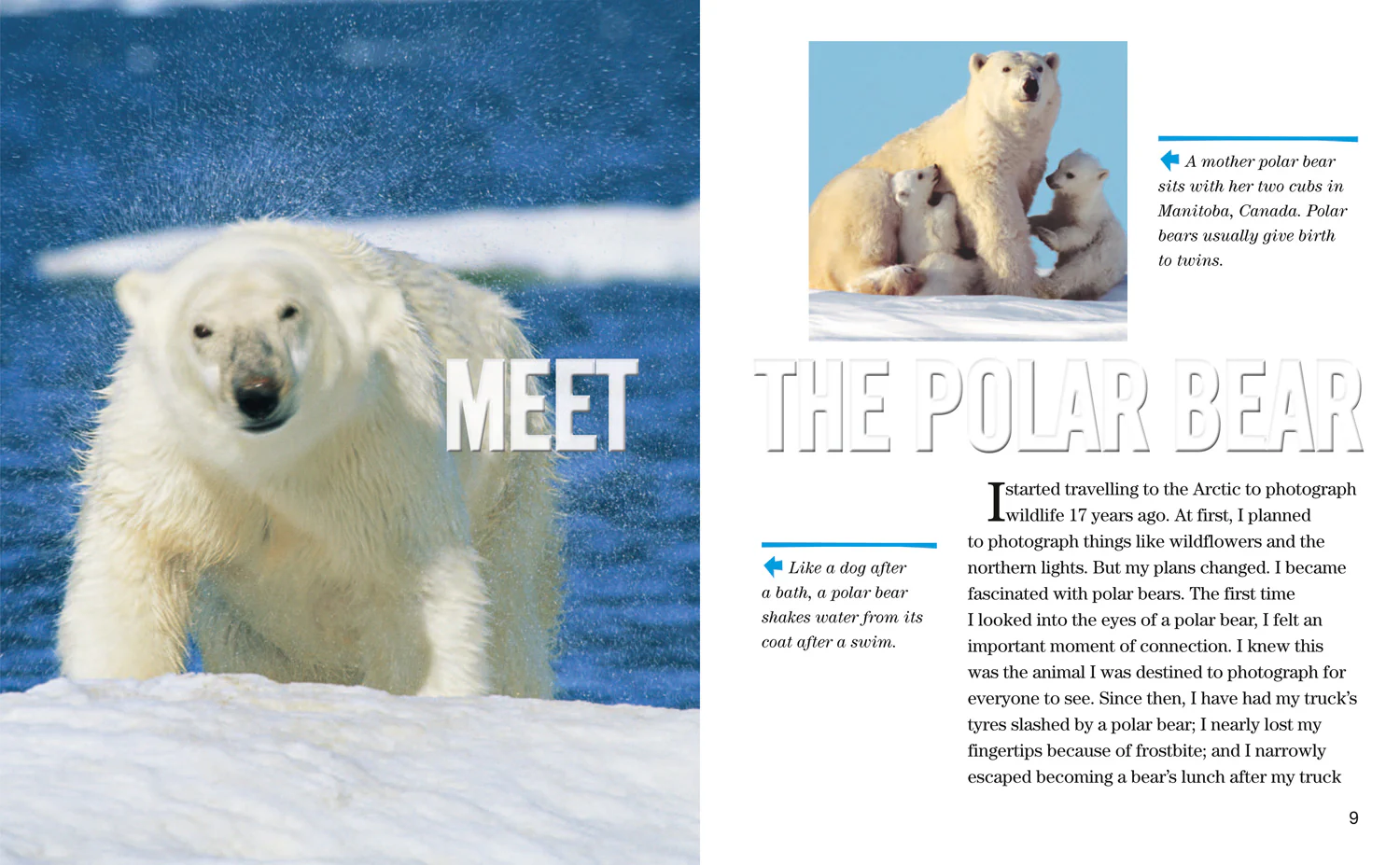 National Geographic Readers - Face to Face with Polar Bears: Level 5 - Image 2