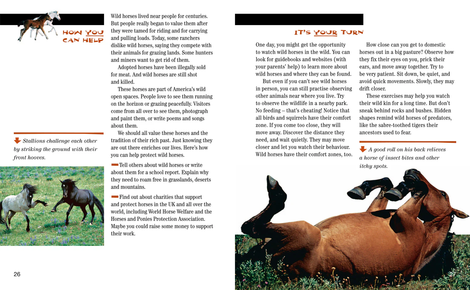 National Geographic Readers - Face to Face with Wild Horses: Level 6 - Image 4