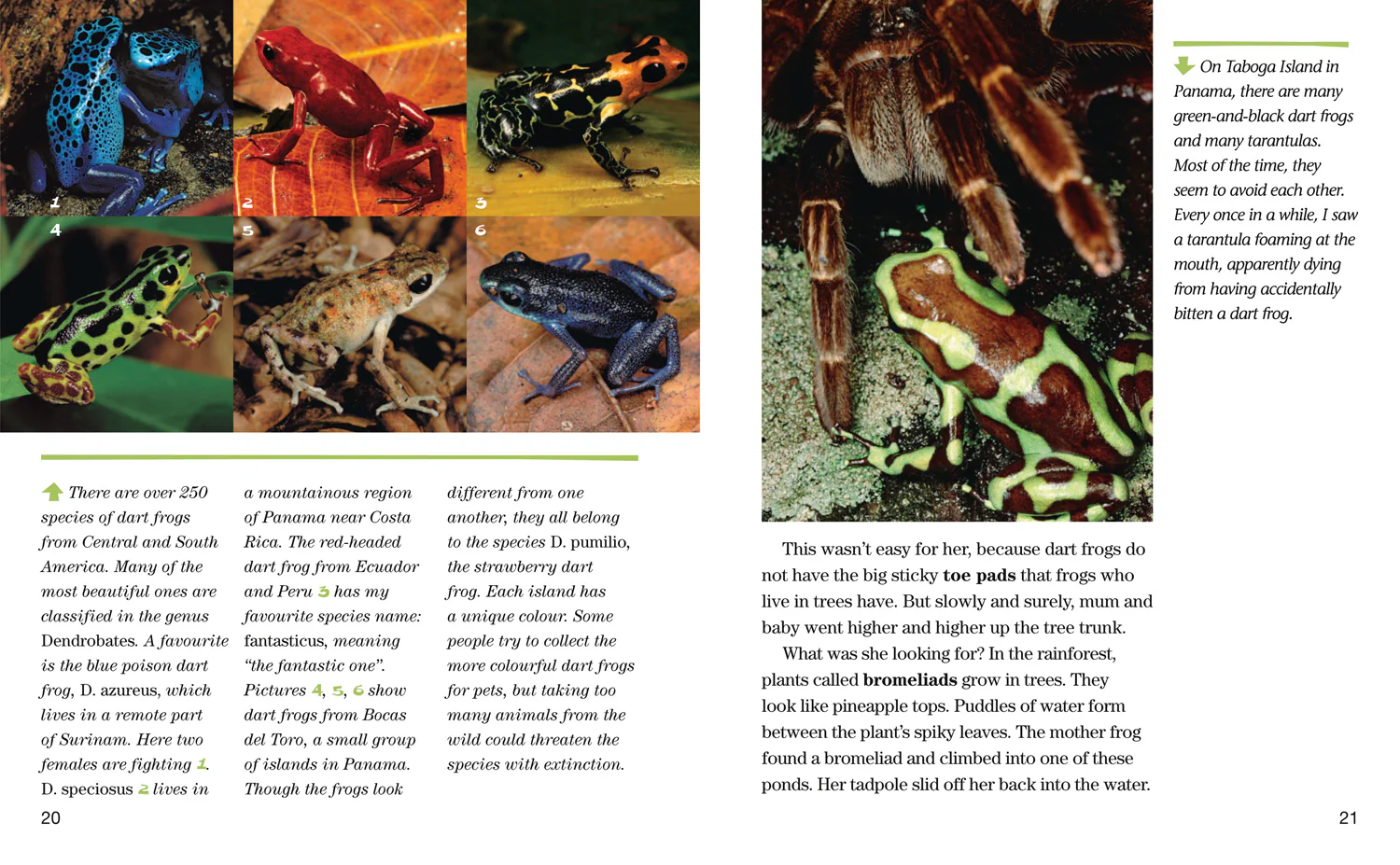 National Geographic Readers - Face to Face with Frogs: Level 5 - Image 4
