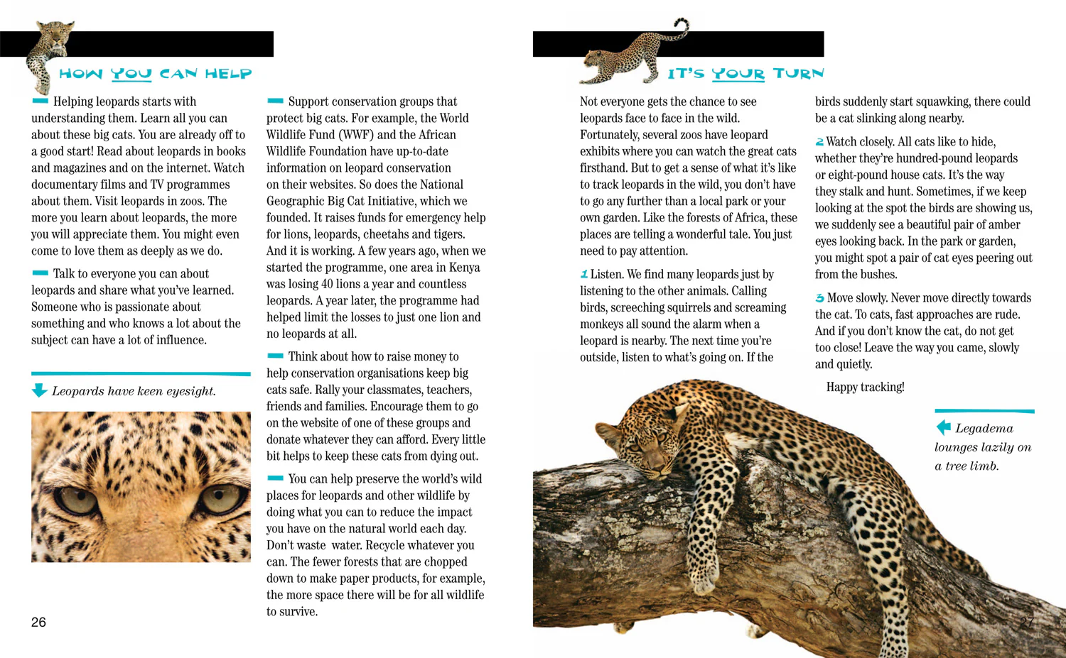 National Geographic Readers - Face to Face with Leopards: Level 6 - Image 4