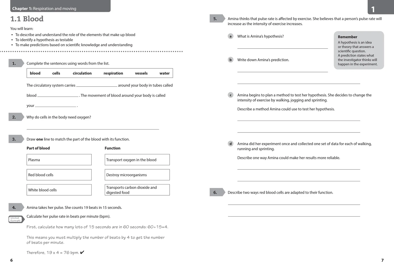 Collins Cambridge Lower Secondary Science - Lower Secondary Science Workbook: Stage 8: (Second edition) - Image 3