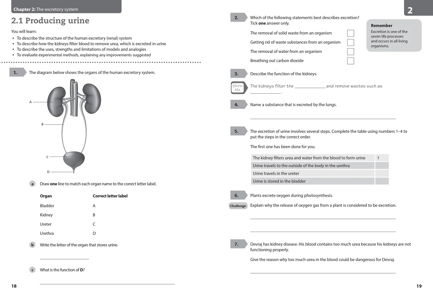 Collins Cambridge Lower Secondary Science - Lower Secondary Science Workbook: Stage 9: (Second edition) - Image 3